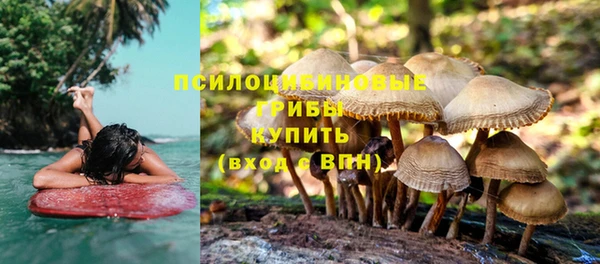 герыч Лиски
