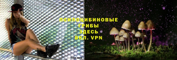 герыч Лиски