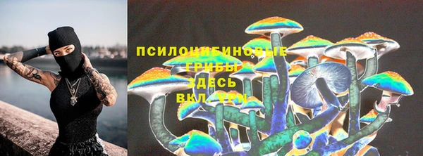 гидропоника Лихославль