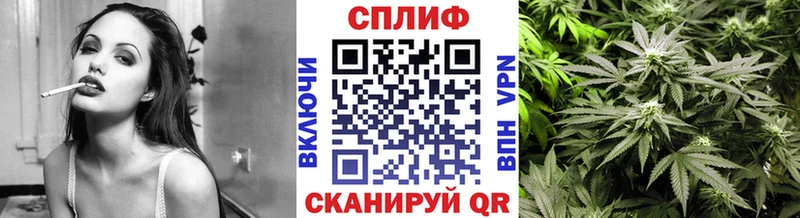 Конопля MAZAR  Мамадыш 